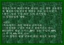 독일의 섬유 패션 산업-정치,경제, 문화 포함 15페이지