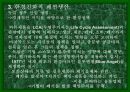 독일의 섬유 패션 산업-정치,경제, 문화 포함 16페이지