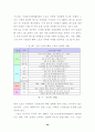 21세기 스포츠 산업의 확장에 따른 스포츠마케팅의역할 20페이지