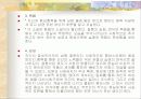 페미니즘과 문학(플로베르의“마담 보봐리“ 이해하기) 14페이지