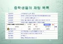 사이버 공간의 N세대와 인터넷 역기능 23페이지