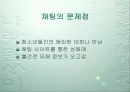 사이버 공간의 N세대와 인터넷 역기능 24페이지