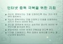 사이버 공간의 N세대와 인터넷 역기능 34페이지