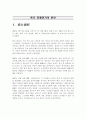 외환위기의 원인 1페이지