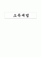 세법개론 서브노트(포인트 세법등) 23페이지