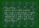 미사일에 대하여 10페이지