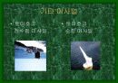 미사일에 대하여 19페이지