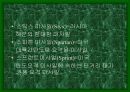 미사일에 대하여 21페이지