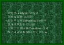 미사일에 대하여 23페이지