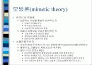 시학의 관점 8페이지