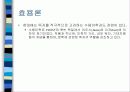 시학의 관점 12페이지