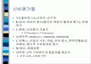 시학의 관점 23페이지