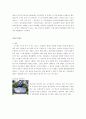 친일파 보고서 7페이지