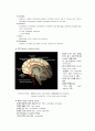 뇌출혈(stroke) 6페이지