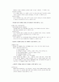 테마파크 에버랜드 5페이지
