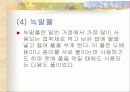 천연 접착제 7페이지