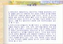 페미니즘과 문학(최정희의 지맥) 3페이지