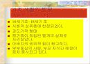 가족에 관해서 10페이지