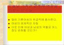가족에 관해서 13페이지