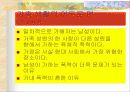 가족에 관해서 18페이지