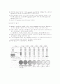 실험보고서 2페이지