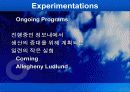 학습조직 구축하기 - 지식경영 14페이지