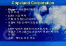 학습조직 구축하기 - 지식경영 17페이지