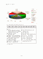 CGV의 고객관계관리(CRM) 6페이지