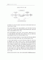 글로벌 물류전략이 기업성과에 미치는 영향 10페이지