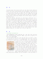 중국인의 성문화 2페이지