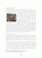 중국인의 성문화 10페이지
