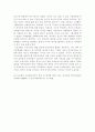 아리랑 독후감 11페이지