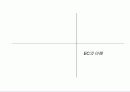 종합쇼핑몰 사업계획서 작성(전자상거래, 유통, 쇼핑몰, 문화상품) 10페이지