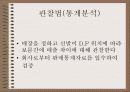 제품의 DISPLAY위치에 따른 소비자의 반응과 판매율 확인 8페이지
