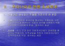 조세정의 및 조세개혁 8페이지