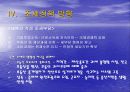 조세정의 및 조세개혁 17페이지