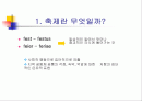 유럽의 축제(파워포인트) 2페이지