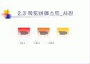 유럽의 축제(파워포인트) 5페이지