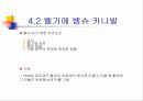 유럽의 축제(파워포인트) 10페이지