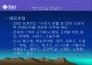썬 Sun Microsystems 분석 4페이지