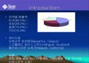 썬 Sun Microsystems 분석 5페이지