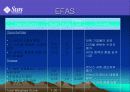썬 Sun Microsystems 분석 20페이지