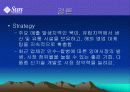썬 Sun Microsystems 분석 28페이지