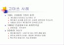LG 전자의 비젼과 목표 16페이지