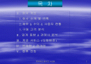  세이클럽 분석 및 전망 2페이지
