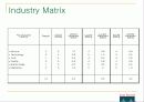 시스코 cisco 전략적 분석 및 대안 19페이지