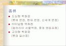 점포형 유통구조 4페이지
