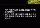 할인점에 대하여 8페이지