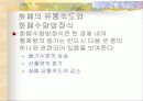 인플레이션 20페이지