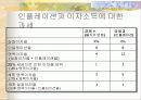 인플레이션 35페이지